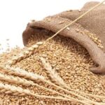Pakistan May Need to Import 2 Million Tonnes of Wheat