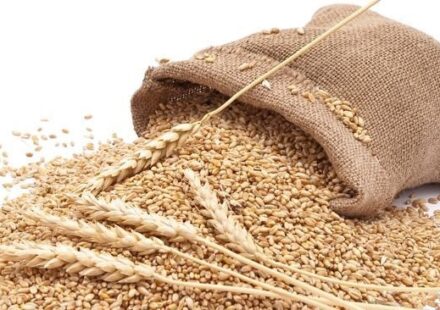 Pakistan May Need to Import 2 Million Tonnes of Wheat