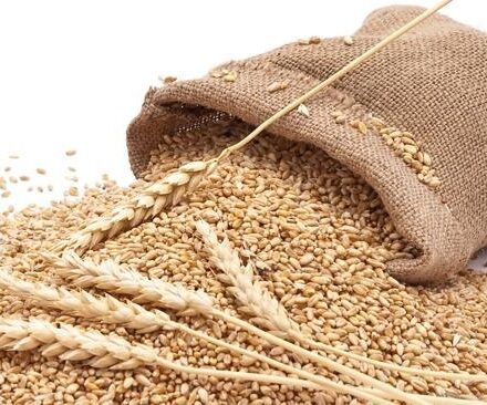 Pakistan May Need to Import 2 Million Tonnes of Wheat
