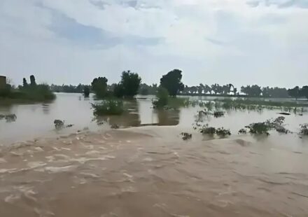 Punjab Floods Getting Worse as Rain Keeps Pouring Down