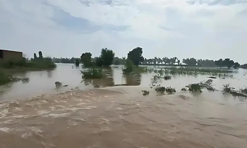 Punjab Floods Getting Worse as Rain Keeps Pouring Down